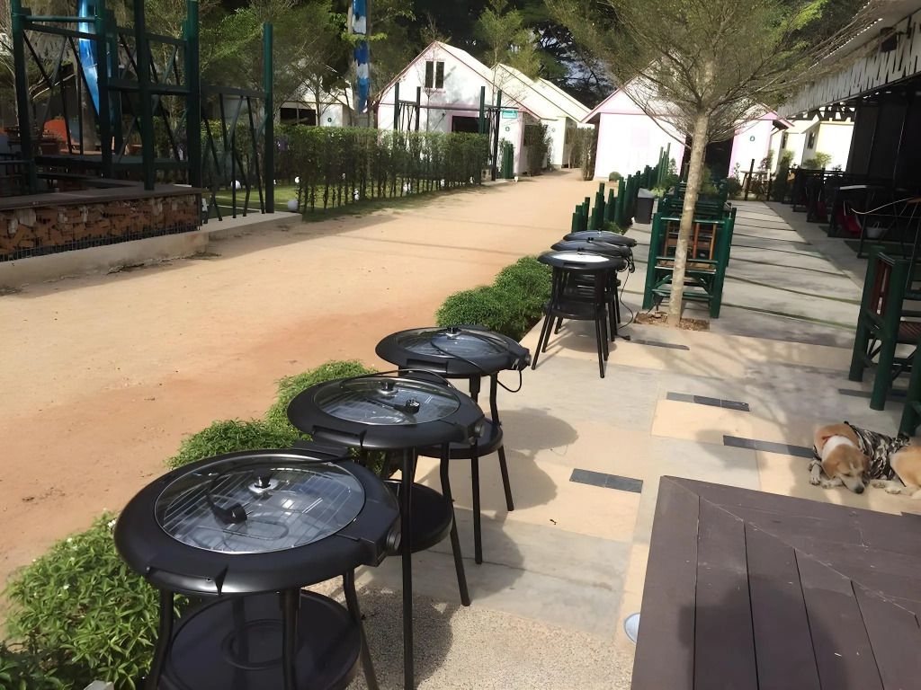 كاو ياي ذا كيدز أدفينشار