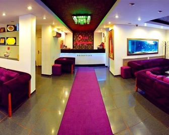 Aydogan Otel - Rizenská provincie - Recepce