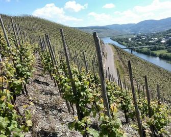 Weingut & Gästehaus Andreas Erz - Brauneberg - Buiten zicht