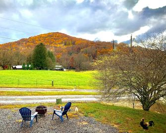 Turkey Trot- New Cabin in Black Mountain w/ views & discount Biltmore tickets! - Black Mountain - Innenhof