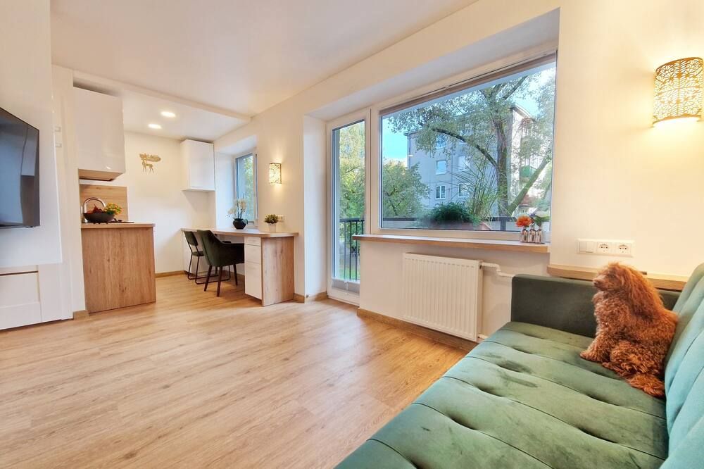 هوم أبارت هوتل (فيلنيوس) - فيلنيوس - غرفة معيشة