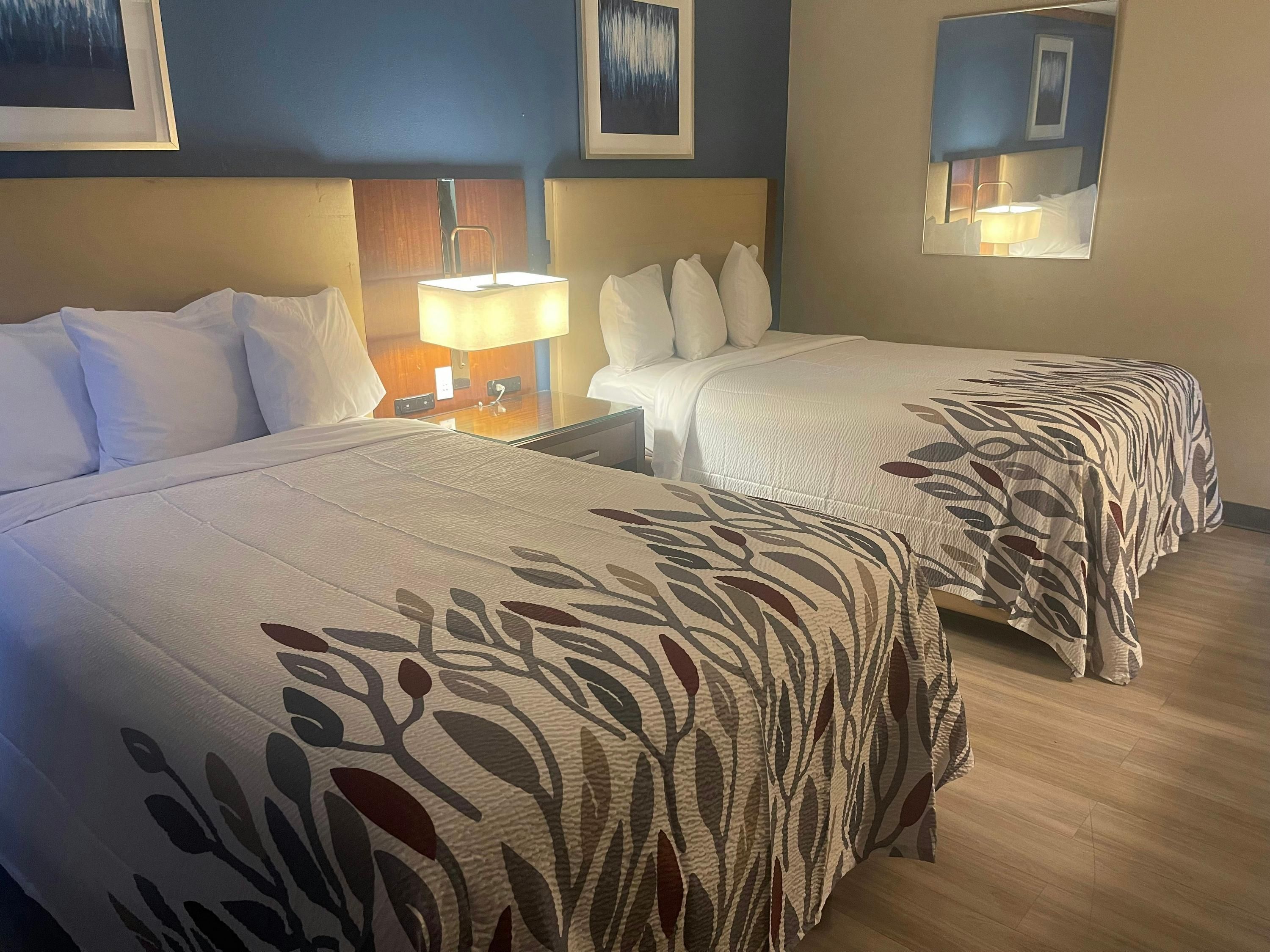 Red Roof Inn & Suites Hinesville - Hinesville - Makuuhuone