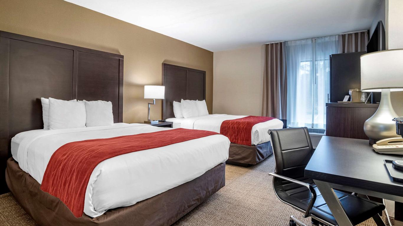 كومفرت إن بالتيمور إيست توسون