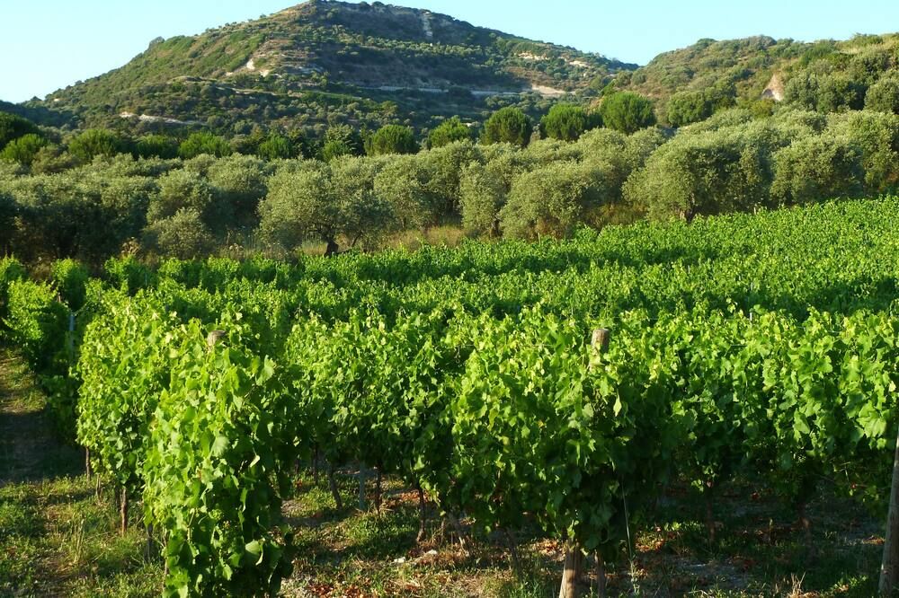 Pessighette Dimora Di Campagna - Bosa - Vista del exterior