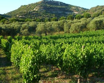 Pessighette Dimora Di Campagna - Bosa - Vista del exterior