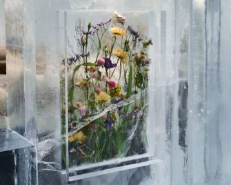 Ice Hotel, an Ascend Collection Hotel - Jukkasjärvi - Servicio de la propiedad