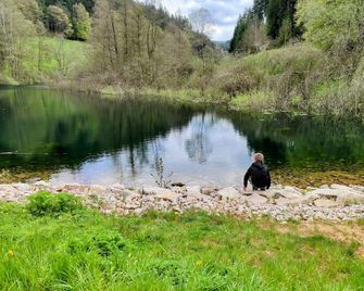 Wellness Hotel Garni Krone - Baiersbronn