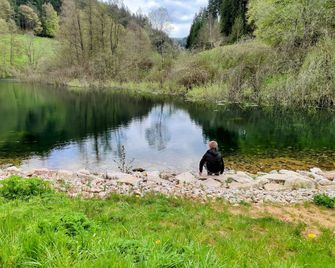 Wellness Hotel Garni Krone - Baiersbronn