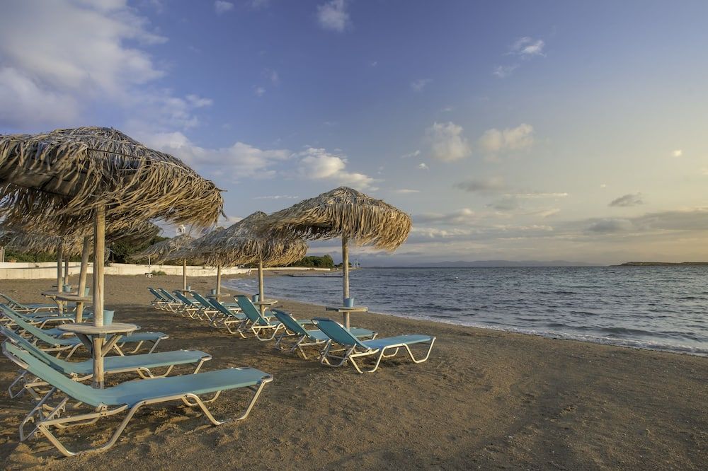 أواسيز بيتش هوتل