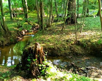 Pensiunea Casa Noastra - Baia de Fier - Outdoors view