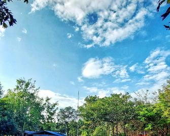 Panther Jungle Stay - Dandeli - Pool