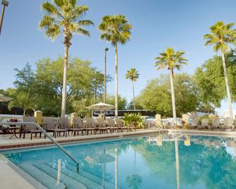 جاليريا بالمز هوتل - كيسيمي - حوض السباحة