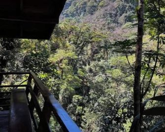 Unique eco-cabin inside cloudforest “PILA” - Cerro Punta - Balkon