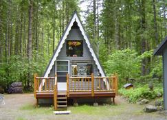 Rock-N-Roll Cabin On Mount Rainier - Packwood - Building