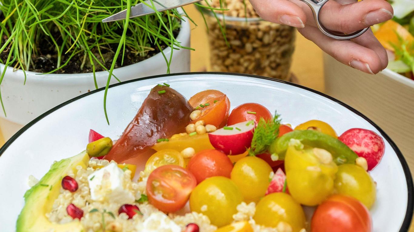 أجنحة نوفوتيل هانوفر