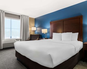 Comfort Inn and Suites near Tinley Park Amphitheater - Tinley Park - Bedroom