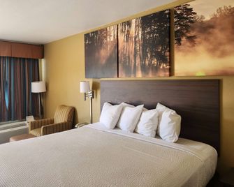 Days Inn by Wyndham Leesville - Leesville - Slaapkamer