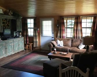 River View - Ox Yoke #5 - Great Family Cabin Along the Lake Fork of the Gunnison River - Lake City - Living room