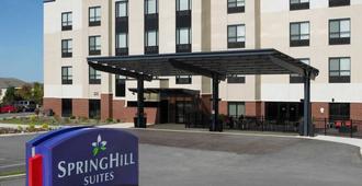 SpringHill Suites by Marriott St. Louis Airport/Earth City - St. Louis