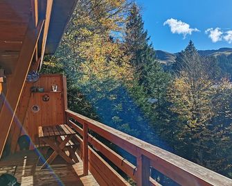 Chalet Le Mouflon Lioran - Laveissière - Balcon