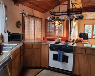 Westside Ocean View Vacation Home Hot Tub, Available Year Round - Friday Harbor - Kitchen