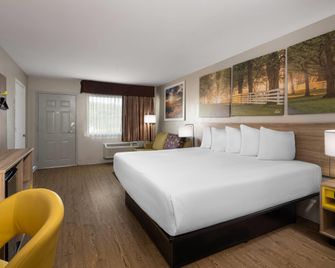 Days Inn by Wyndham Anderson/Clemson Area - Anderson - Habitación