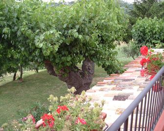 Agriturismo il Bacucco - Montecarotto - Vista del exterior