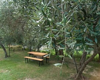 Agriturismo Buranco - Monterosso al Mare - Patio
