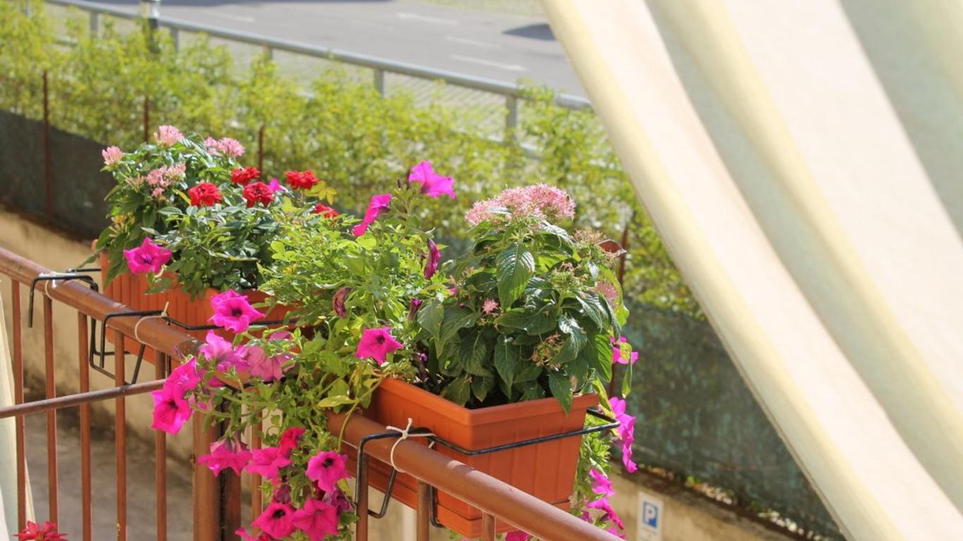 Delle Rose Rooms