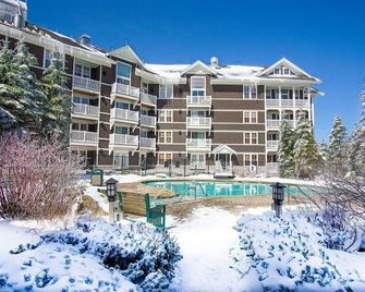 Allegheny Springs 201 : 2 Bedroom, 2 Full Bath: Slope Side; Gas Fireplace - Snowshoe - Edificio