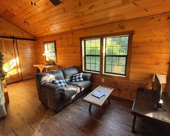 Willow Haven: Cozy cabin in delightful Afton - Afton - Living room