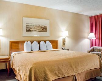 Quality Inn & Suites - Burnham - Camera da letto