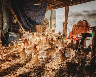 This working homestead is a destination not just a place to stay. - Sperryville
