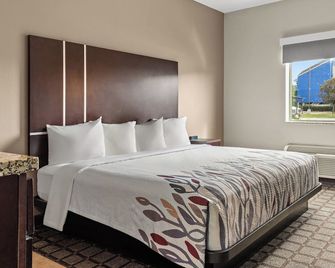 Red Roof Inn Baton Rouge - Бейтон Руж - Спальня