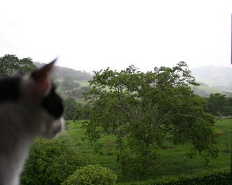 Apartamento Duplex - Capitólio