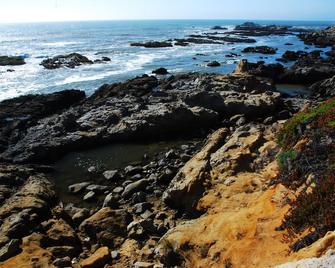 Greenbelt & Ocean View - Ritz Carlton - Gated - Save 30% on 31 plus nights - Half Moon Bay