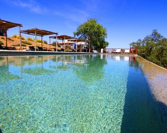 Monte Gois Country House e Spa - Curvatos - Pool