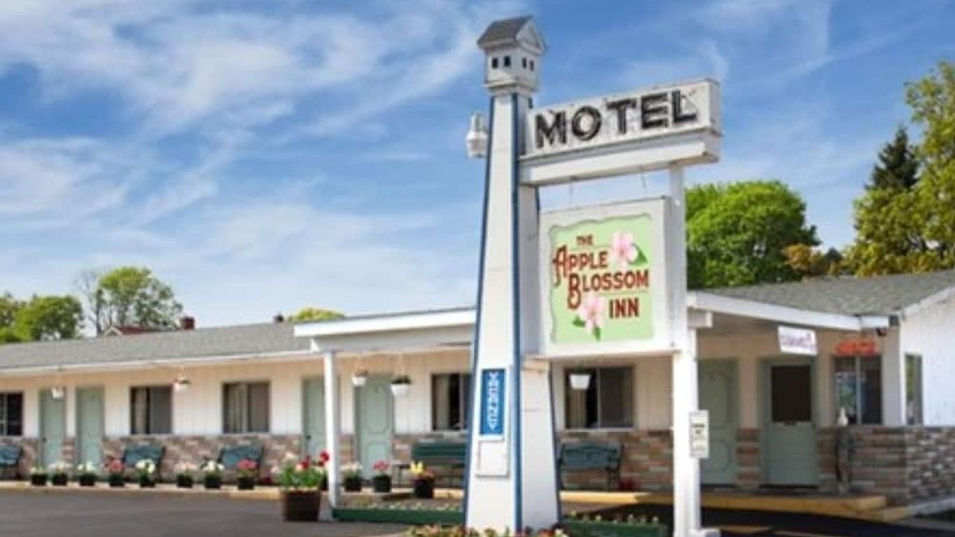 Apple Blossom Boutique