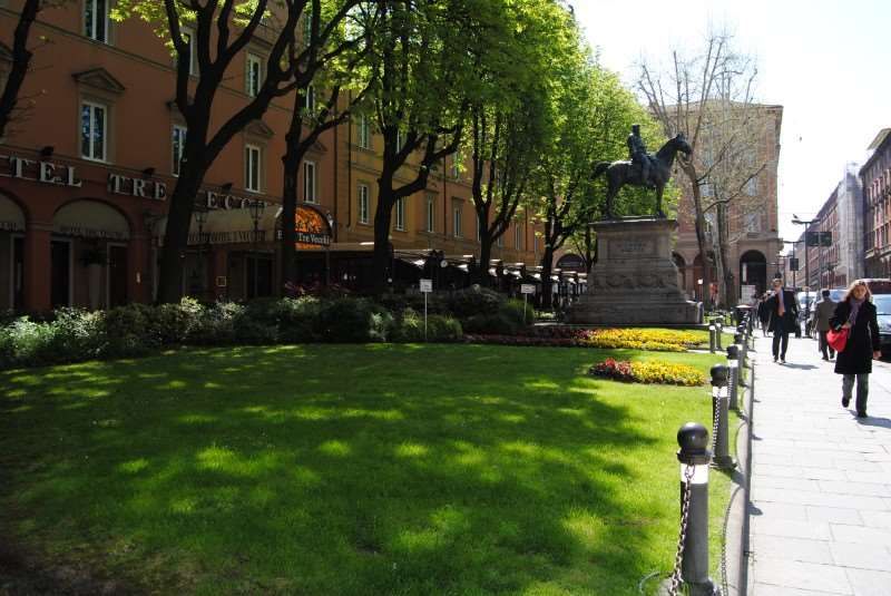 زانهوتل تري فيتشي