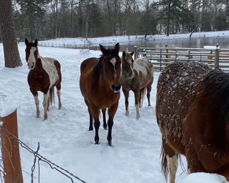 2 bedroom home with truck and trailer parking. Safe and secluded. - Henderson