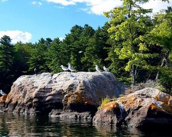Le Temps Perdu: 88 Acre Wilderness Park between Historic Westport and Perth - Westport