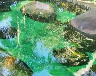 casa barra grande Jardim das Oliveiras - Paraty - Pool