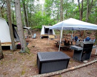 Rare, peaceful glamping, hot shower, mini golf near appalachian trail - Dover Plains - Patio