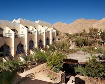 Bedouin Moon Hotel - Dahab - Toà nhà