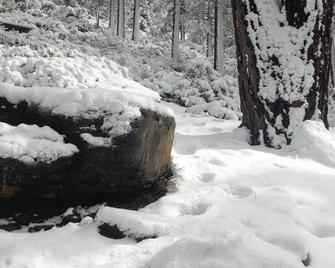 N Lake Tahoe Cabin with Lake & Mt Views - Location - Attractions - Inviting - Kings Beach - Prasarana properti