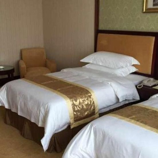 Vienna Hotel Dongguan Mayong Centre Avenue image 1