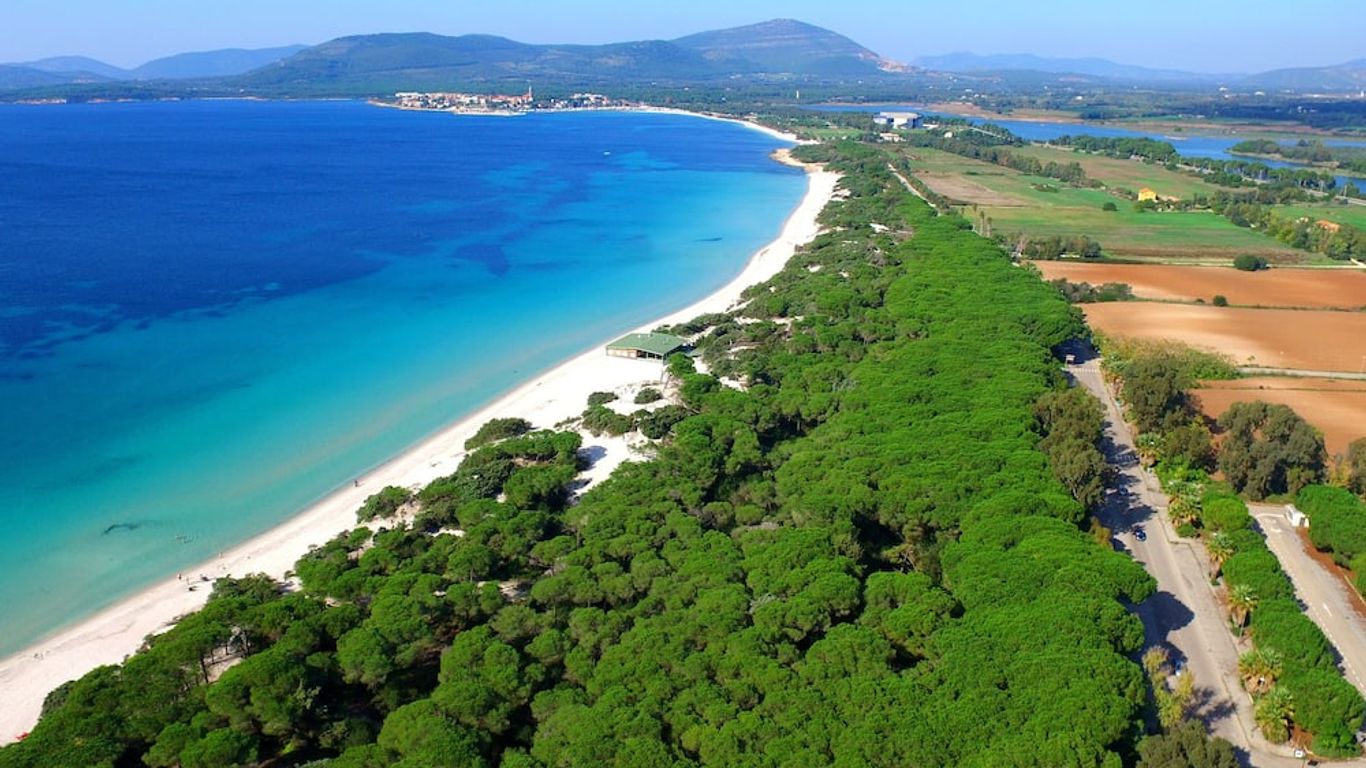 هوتل أواسيز