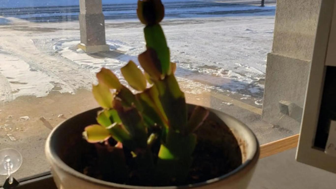 Skyview Swift Current