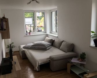 Bright, modern furnished vacation apartment on the Ach. - Wolfurt - Sala de estar