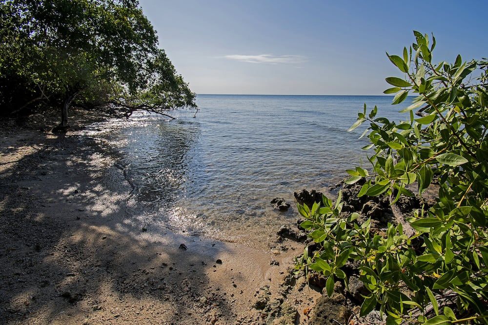 Isla Tijereto - Isla Grande del Rosario